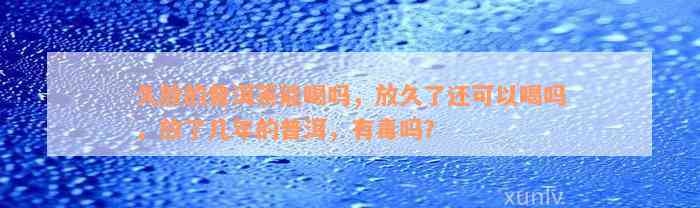 久放的普洱茶能喝吗，放久了还可以喝吗，放了几年的普洱，有毒吗？