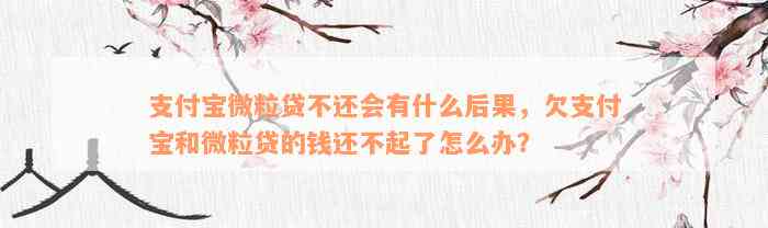 支付宝微粒贷不还会有什么后果，欠支付宝和微粒贷的钱还不起了怎么办？