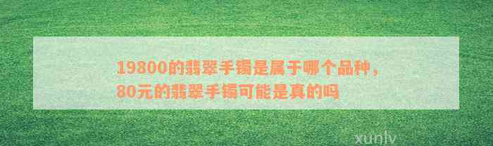 19800的翡翠手镯是属于哪个品种，80元的翡翠手镯可能是真的吗