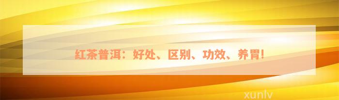 红茶普洱：好处、区别、功效、养胃!