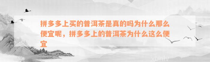 拼多多上买的普洱茶是真的吗为什么那么便宜呢，拼多多上的普洱茶为什么这么便宜