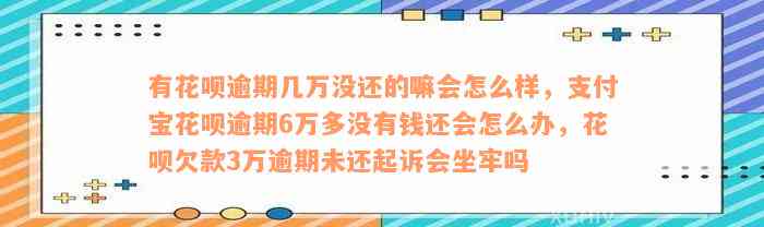 有花呗逾期几万没还的嘛会怎么样，支付宝花呗逾期6万多没有钱还会怎么办，花呗欠款3万逾期未还起诉会坐牢吗