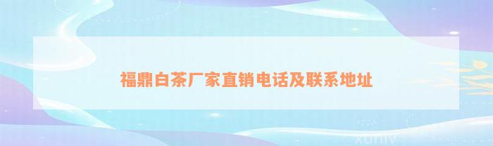 福鼎白茶厂家直销电话及联系地址