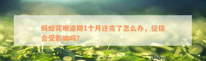 蚂蚁花呗逾期1个月还完了怎么办，征信会受影响吗？