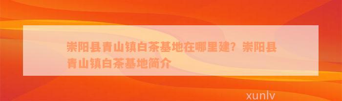 崇阳县青山镇白茶基地在哪里建？崇阳县青山镇白茶基地简介