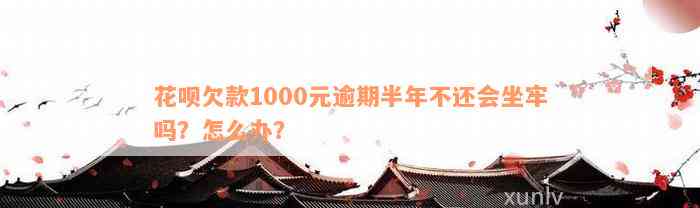 花呗欠款1000元逾期半年不还会坐牢吗？怎么办？