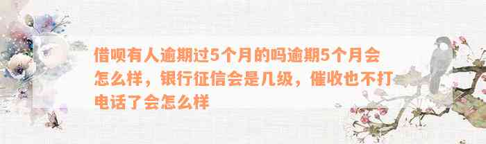 借呗有人逾期过5个月的吗逾期5个月会怎么样，银行征信会是几级，催收也不打电话了会怎么样