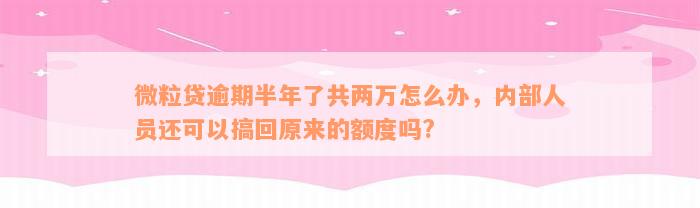 微粒贷逾期半年了共两万怎么办，内部人员还可以搞回原来的额度吗?