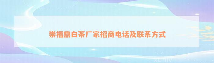 崇福鼎白茶厂家招商电话及联系方式