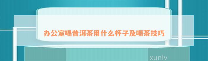 办公室喝普洱茶用什么杯子及喝茶技巧