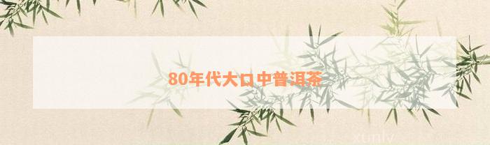 80年代大口中普洱茶