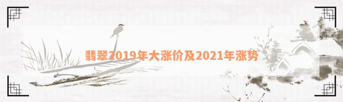 翡翠2019年大涨价及2021年涨势