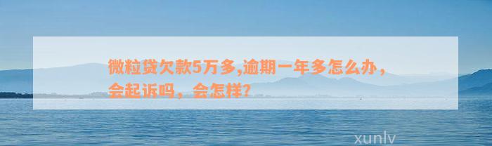 微粒贷欠款5万多,逾期一年多怎么办，会起诉吗，会怎样？