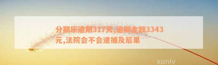 分期乐逾期317天,逾期金额3343元,法院会不会逮捕及后果