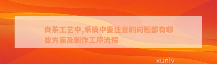 白茶工艺中,采摘中要注意的问题都有哪些方面及制作工序流程