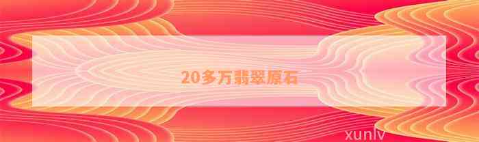 20多万翡翠原石