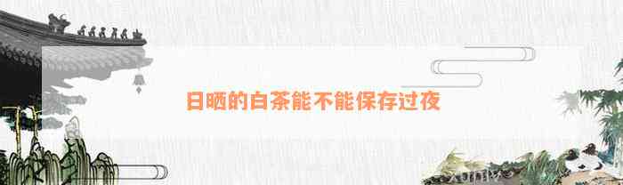 日晒的白茶能不能保存过夜