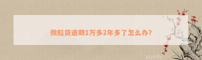 微粒贷逾期1万多2年多了怎么办？