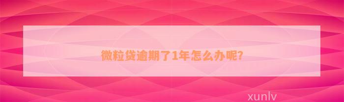 微粒贷逾期了1年怎么办呢？