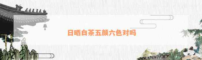 日晒白茶五颜六色对吗