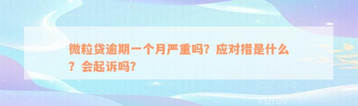 微粒贷逾期一个月严重吗？应对措是什么？会起诉吗？