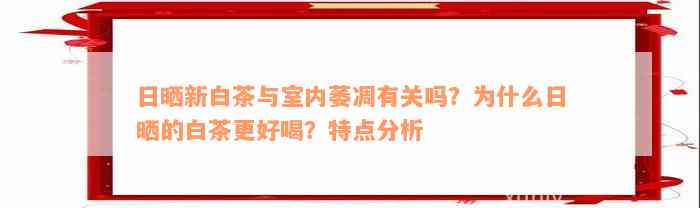 日晒新白茶与室内萎凋有关吗？为什么日晒的白茶更好喝？特点分析