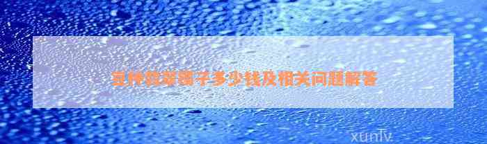 豆种翡翠镯子多少钱及相关问题解答