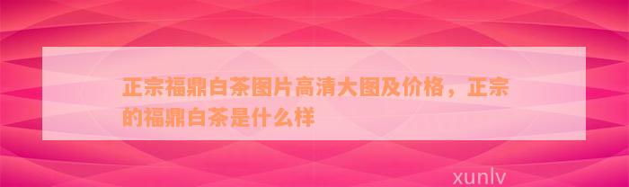 正宗福鼎白茶图片高清大图及价格，正宗的福鼎白茶是什么样