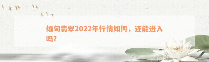 缅甸翡翠2022年行情如何，还能进入吗？