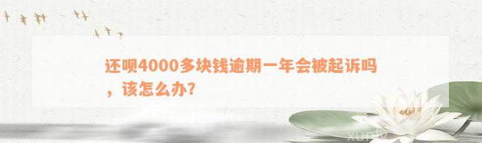 还呗4000多块钱逾期一年会被起诉吗，该怎么办？