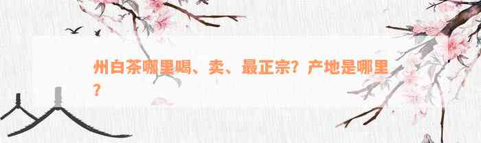 州白茶哪里喝、卖、最正宗？产地是哪里？