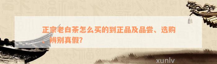 正宗老白茶怎么买的到正品及品尝、选购、辨别真假？