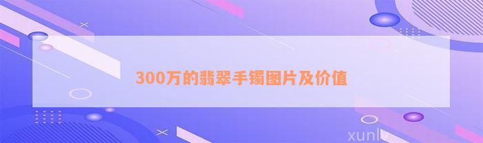 300万的翡翠手镯图片及价值