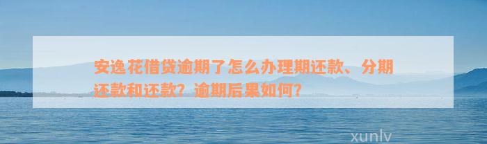 安逸花借贷逾期了怎么办理期还款、分期还款和还款？逾期后果如何？