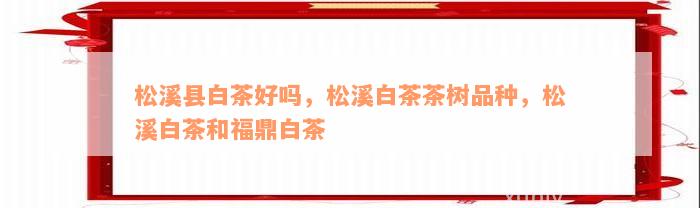 松溪县白茶好吗，松溪白茶茶树品种，松溪白茶和福鼎白茶