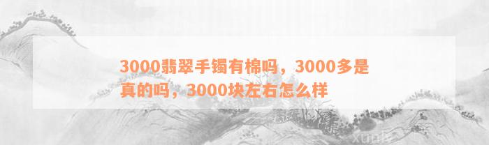 3000翡翠手镯有棉吗，3000多是真的吗，3000块左右怎么样