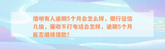 借呗有人逾期5个月会怎么样，银行征信几级，催收不打电话会怎样，逾期5个月能否继续借款？