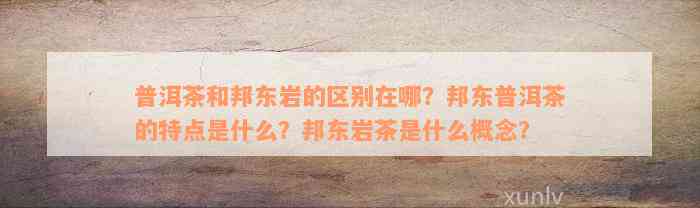 普洱茶和邦东岩的区别在哪？邦东普洱茶的特点是什么？邦东岩茶是什么概念？