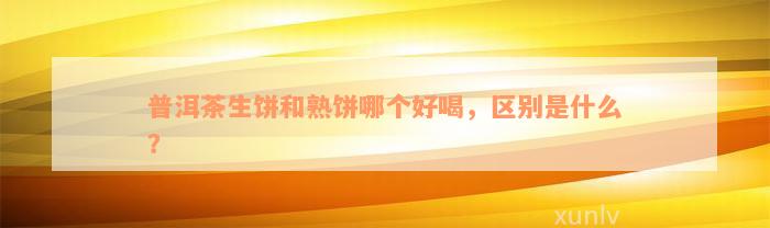 普洱茶生饼和熟饼哪个好喝，区别是什么？