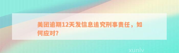 美团逾期12天发信息追究刑事责任，如何应对？