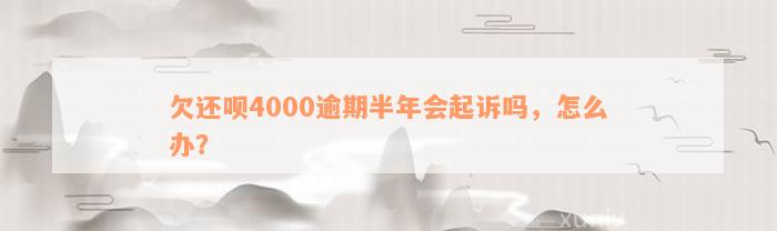 欠还呗4000逾期半年会起诉吗，怎么办？