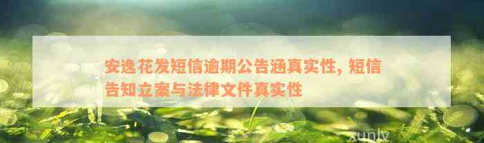 安逸花发短信逾期公告涵真实性, 短信告知立案与法律文件真实性