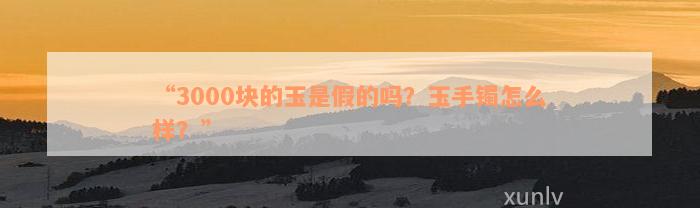 “3000块的玉是假的吗？玉手镯怎么样？”