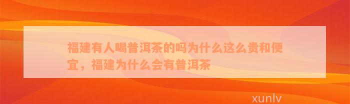 福建有人喝普洱茶的吗为什么这么贵和便宜，福建为什么会有普洱茶