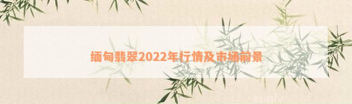 缅甸翡翠2022年行情及市场前景