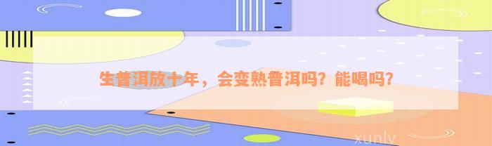 生普洱放十年，会变熟普洱吗？能喝吗？