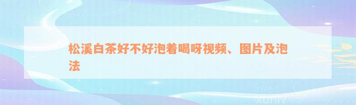 松溪白茶好不好泡着喝呀视频、图片及泡法