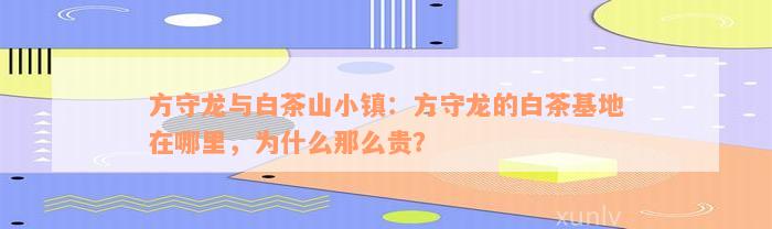 方守龙与白茶山小镇：方守龙的白茶基地在哪里，为什么那么贵？