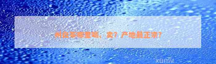 州白茶哪里喝、卖？产地最正宗？