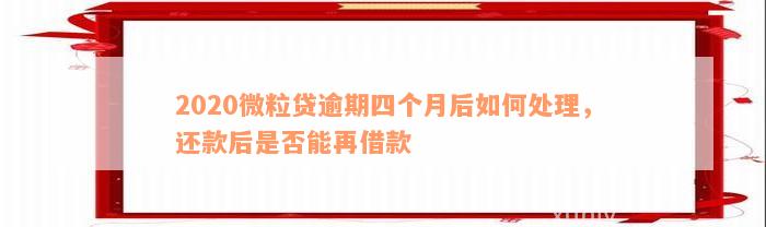 2020微粒贷逾期四个月后如何处理，还款后是否能再借款